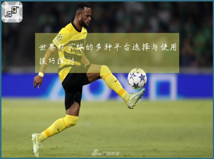 世界杯买球的多种平台选择与使用技巧探讨