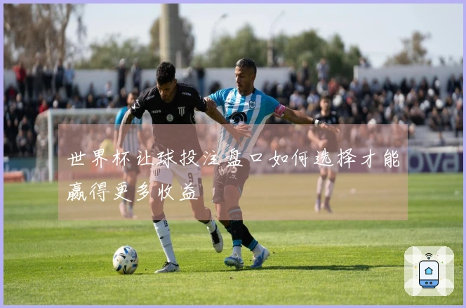 世界杯让球投注盘口如何选择才能赢得更多收益