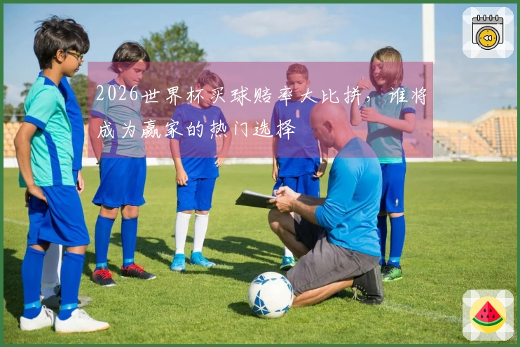 2026世界杯买球赔率大比拼，谁将成为赢家的热门选择