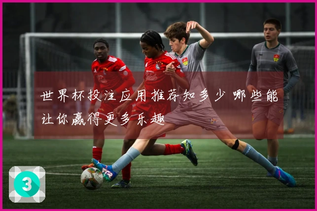 世界杯投注应用推荐知多少 哪些能让你赢得更多乐趣
