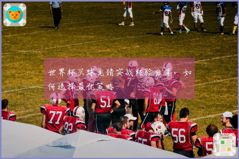 世界杯买球竞猜实战经验分享，如何选择最优策略