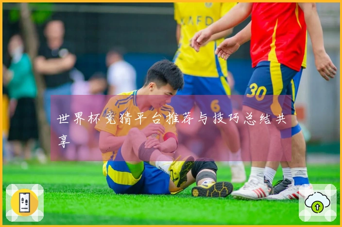 世界杯竞猜平台推荐与技巧总结共享