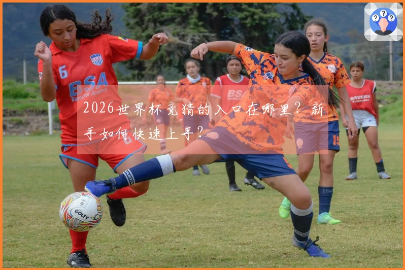 2026世界杯竞猜的入口在哪里？新手如何快速上手？