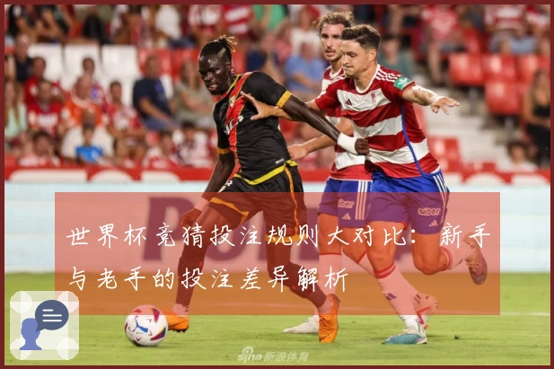 世界杯竞猜投注规则大对比：新手与老手的投注差异解析