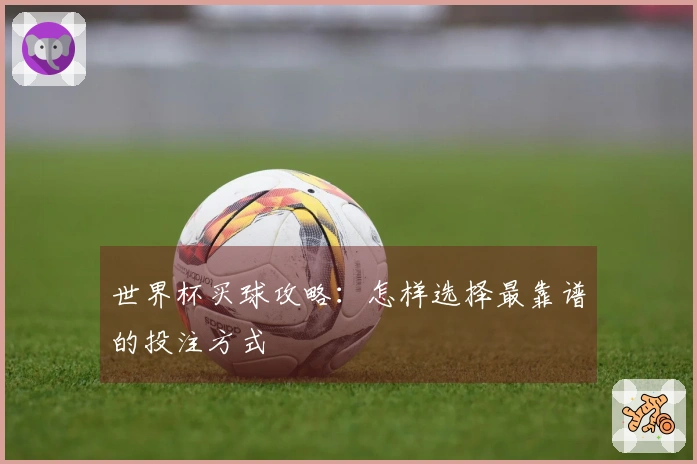 世界杯买球攻略：怎样选择最靠谱的投注方式