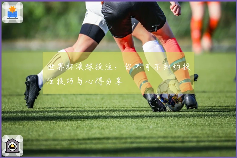 世界杯滚球投注，你不可不知的投注技巧与心得分享