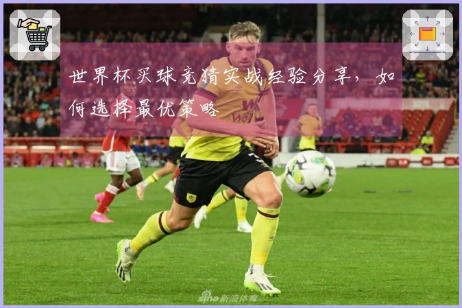 世界杯买球竞猜实战经验分享，如何选择最优策略