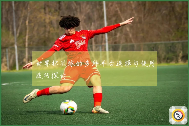世界杯买球的多种平台选择与使用技巧探讨