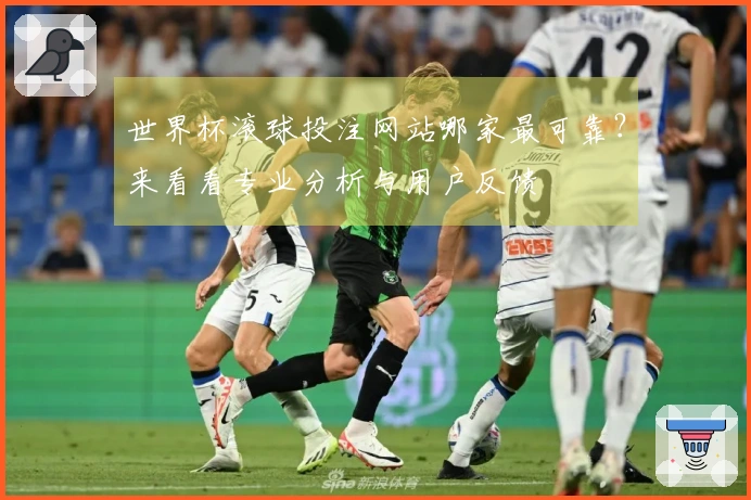 世界杯滚球投注网站哪家最可靠？来看看专业分析与用户反馈