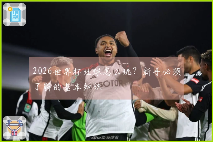 2026世界杯让球怎么玩？新手必须了解的基本知识