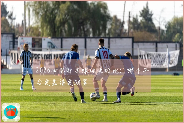 2026世界杯买球玩法对比：哪个平台更靠谱更划算
