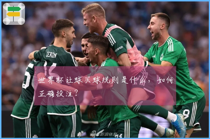世界杯让球买球规则是什么，如何正确投注？