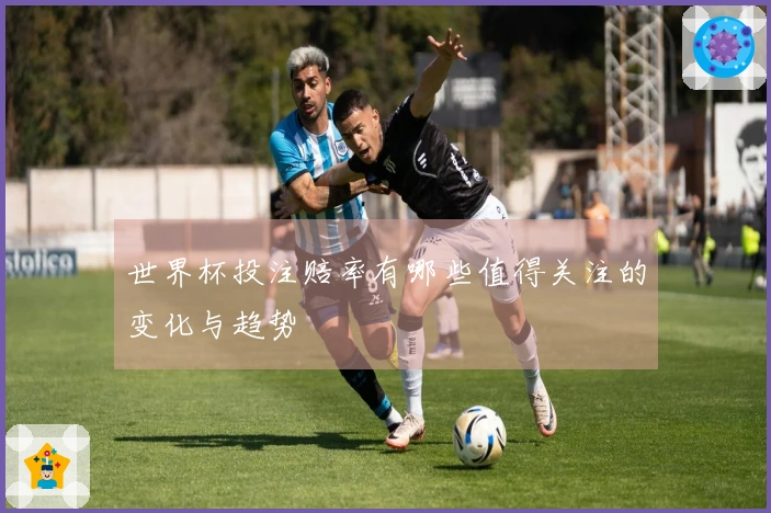 世界杯投注赔率有哪些值得关注的变化与趋势